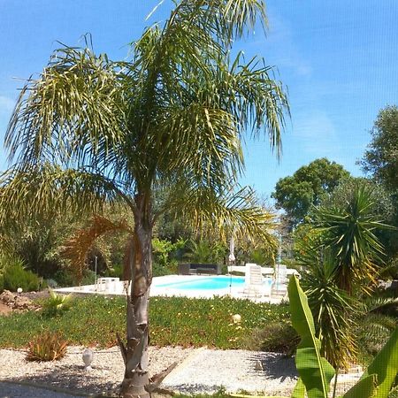 مبيت وإفطار بالميلا Quinta Laranjal Da Arrabida المظهر الخارجي الصورة