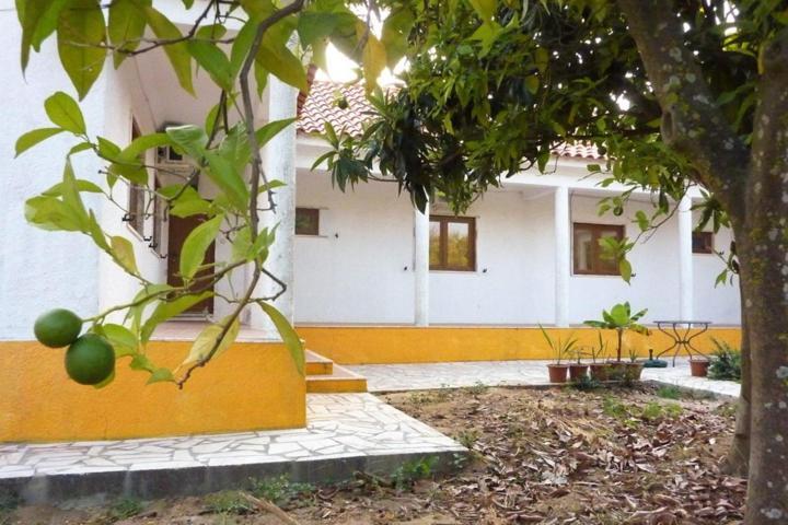 مبيت وإفطار بالميلا Quinta Laranjal Da Arrabida المظهر الخارجي الصورة