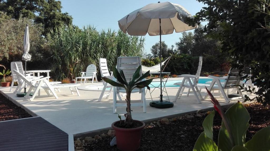 مبيت وإفطار بالميلا Quinta Laranjal Da Arrabida المظهر الخارجي الصورة