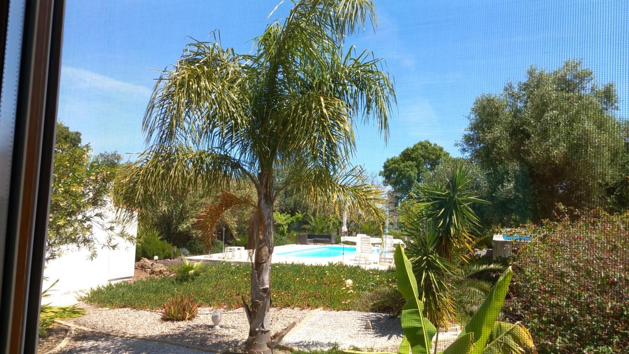 مبيت وإفطار بالميلا Quinta Laranjal Da Arrabida المظهر الخارجي الصورة